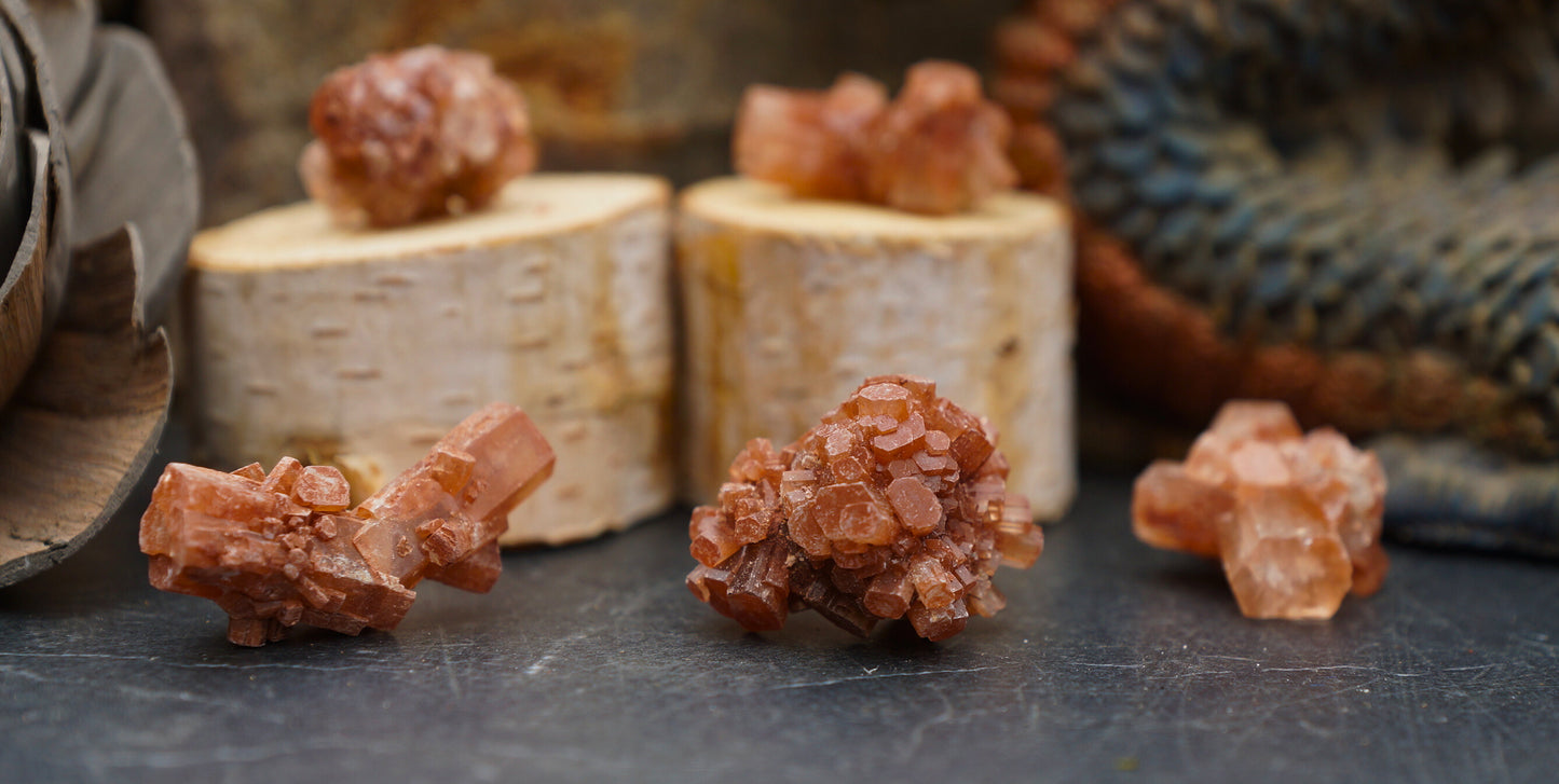 ARAGONITE BITES