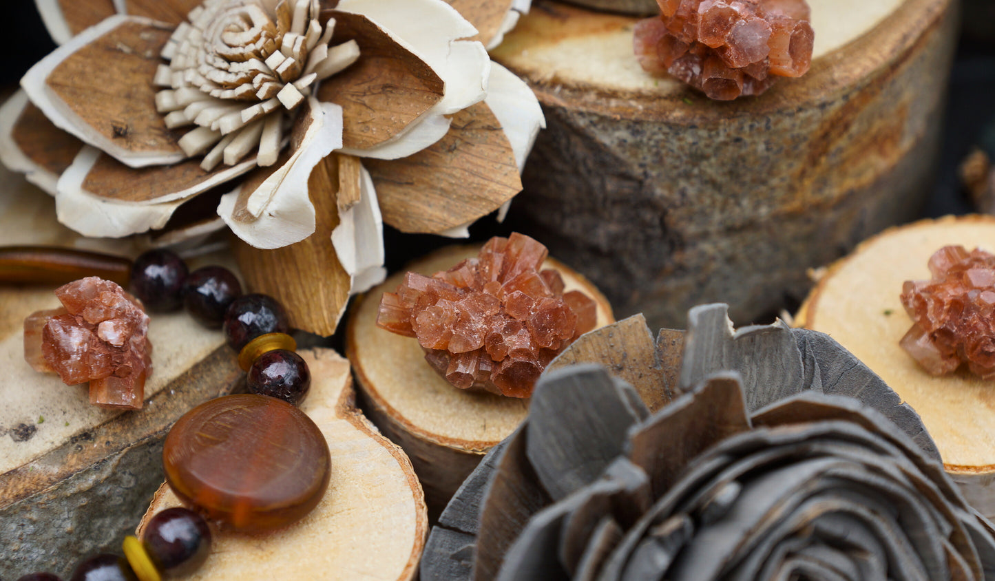 ARAGONITE BITES
