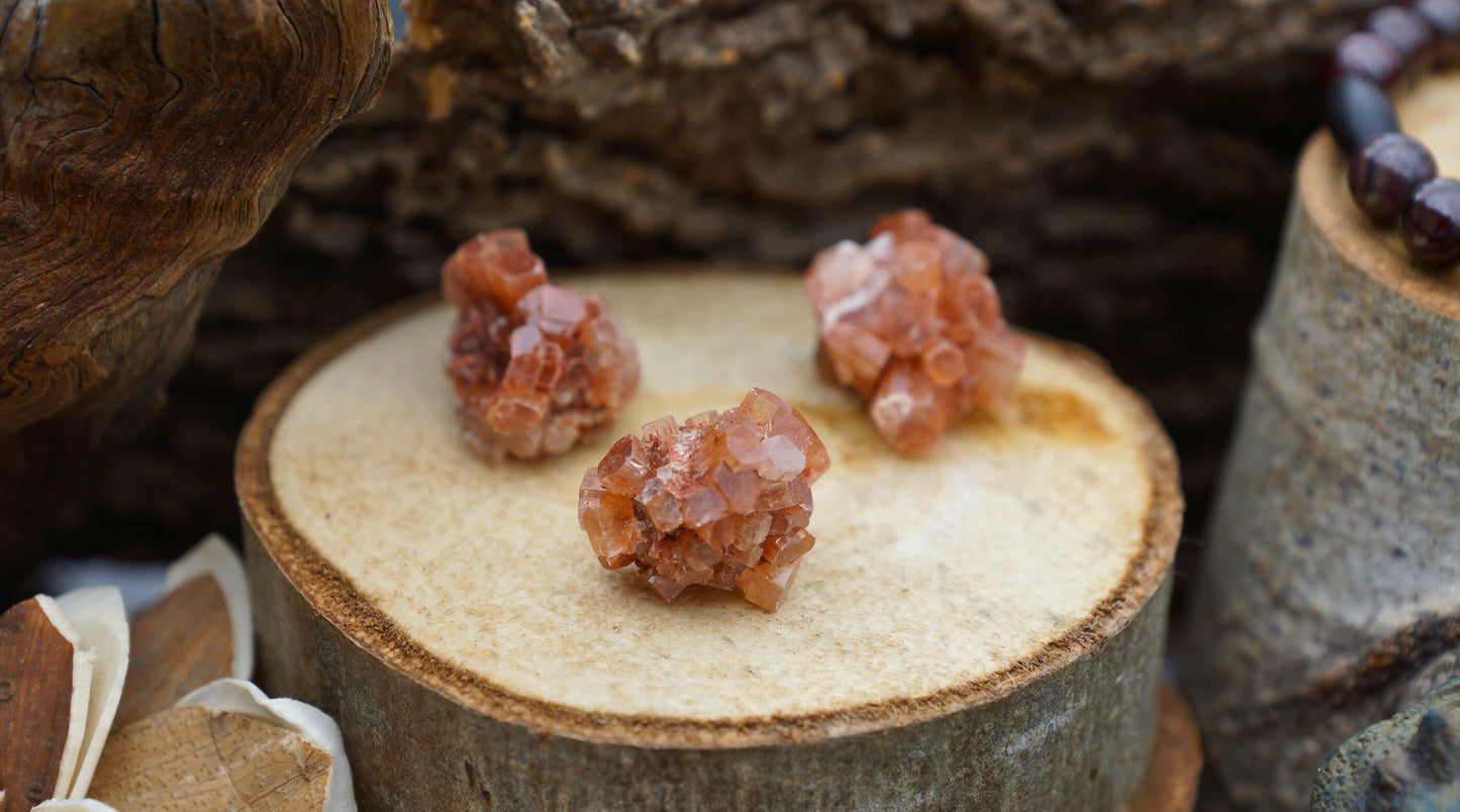 ARAGONITE BITES
