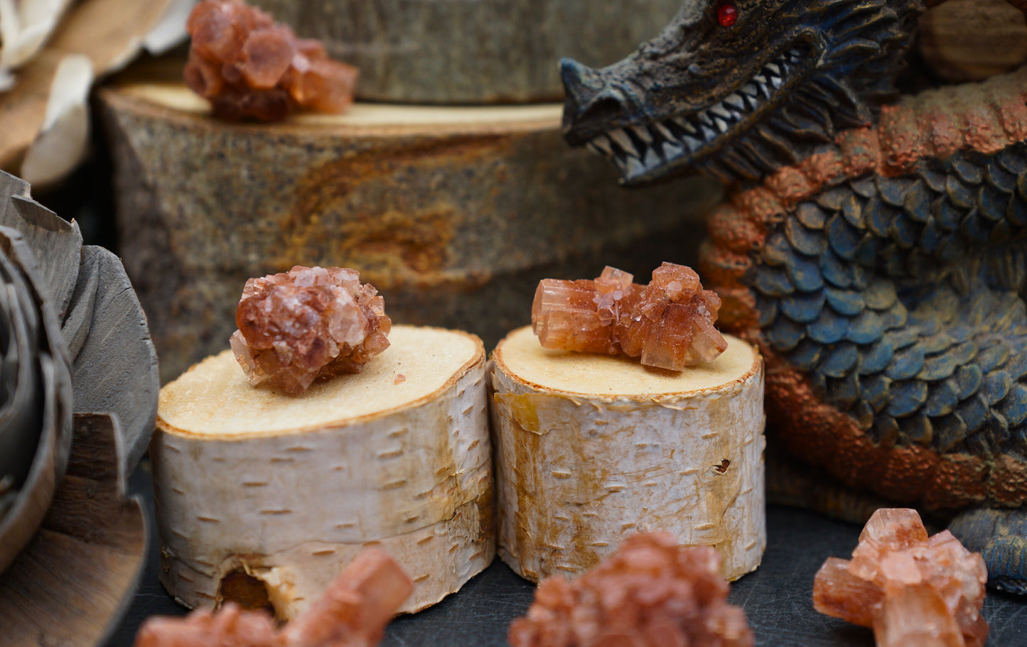 ARAGONITE BITES