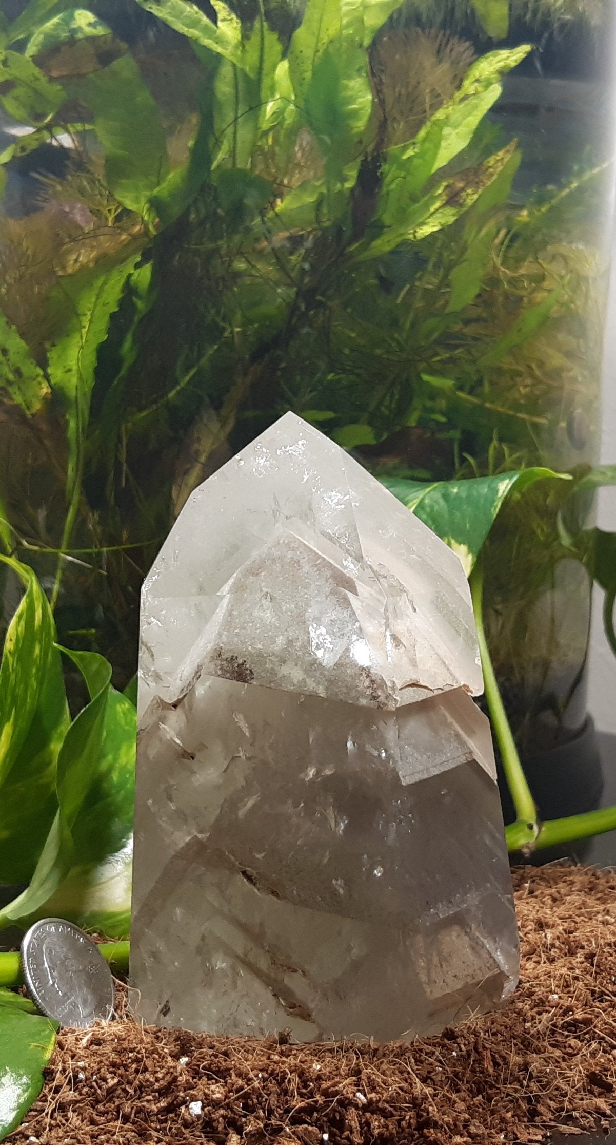 Phantom Quartz Natural Point