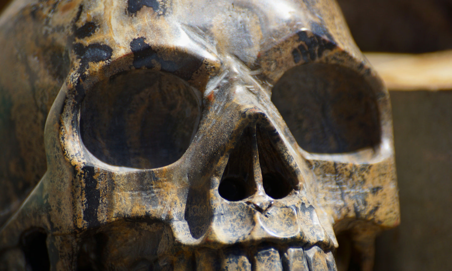 DENDRITIC PICTURE JASPER SKULL