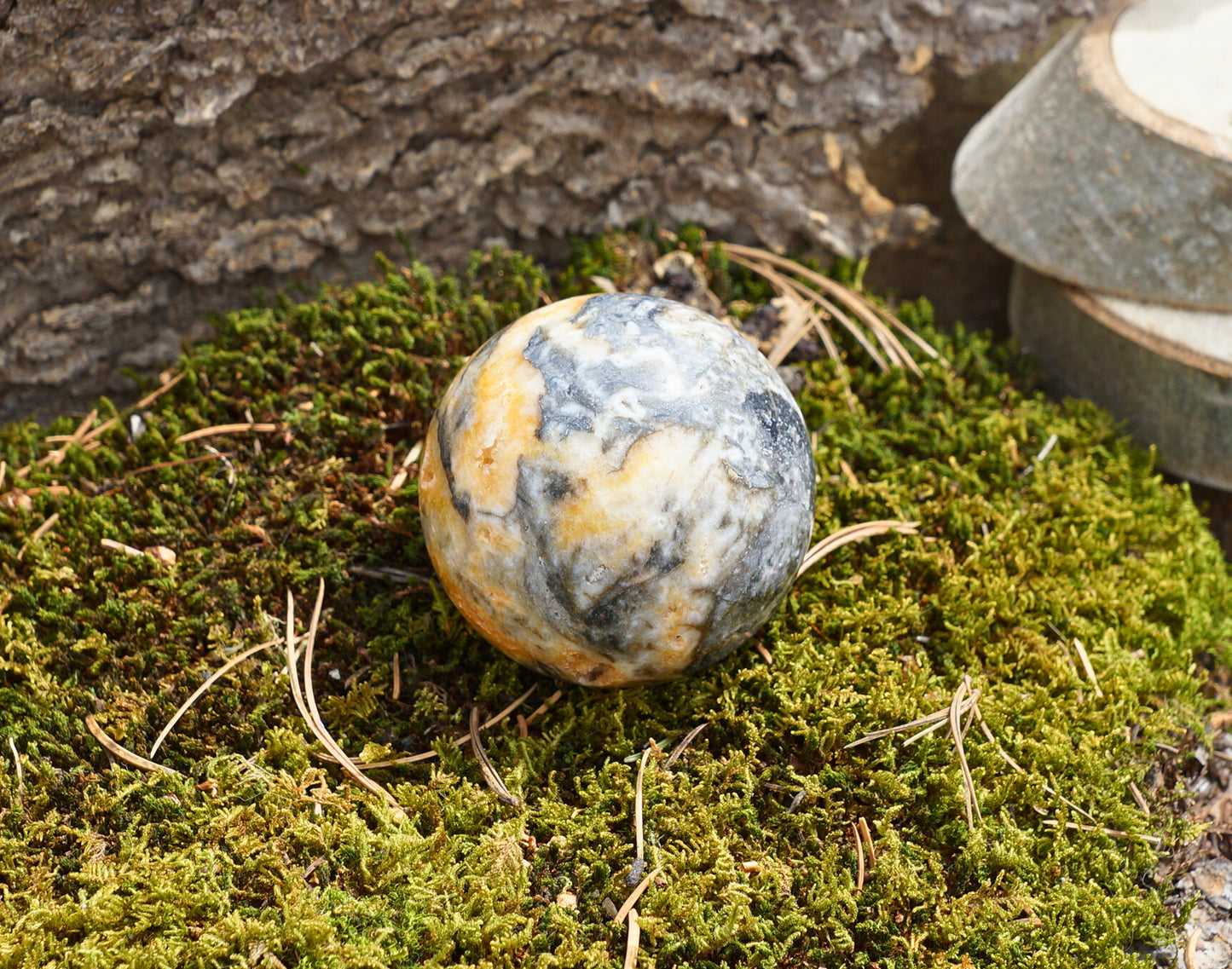 BUMBLEBEE JASPER SPHERE (druzy)