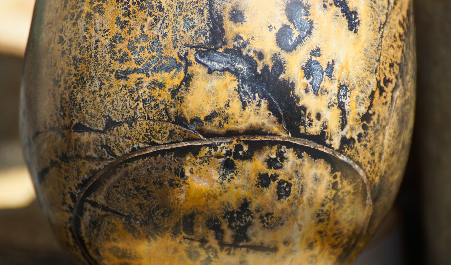 DENDRITIC PICTURE JASPER SKULL
