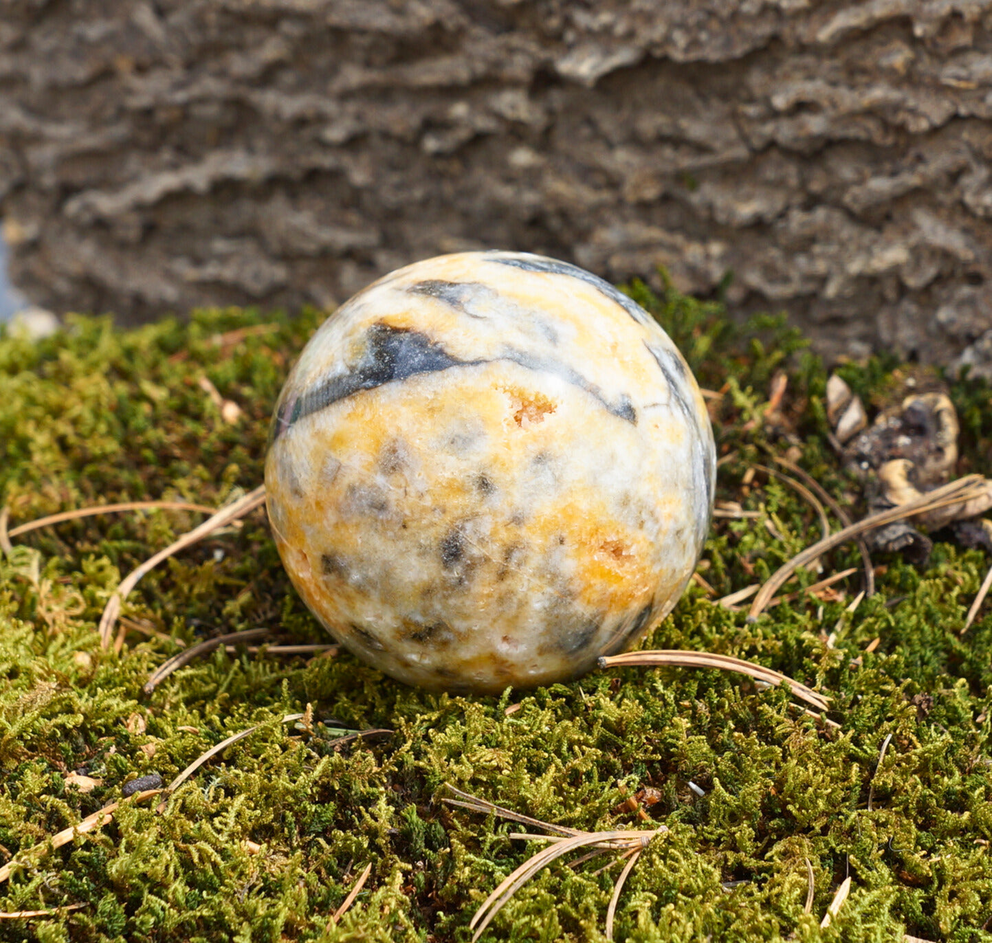 BUMBLEBEE JASPER SPHERE (druzy)