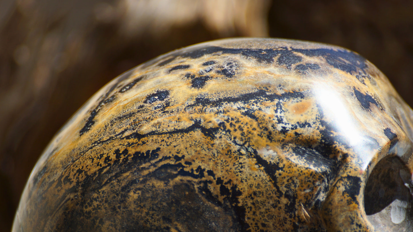 DENDRITIC PICTURE JASPER SKULL