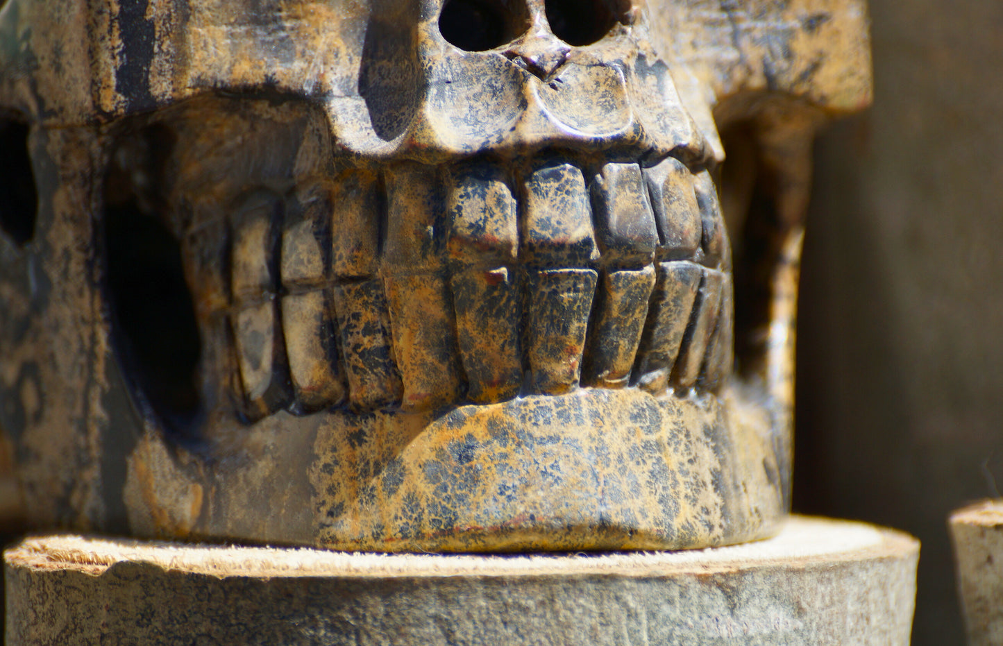 DENDRITIC PICTURE JASPER SKULL