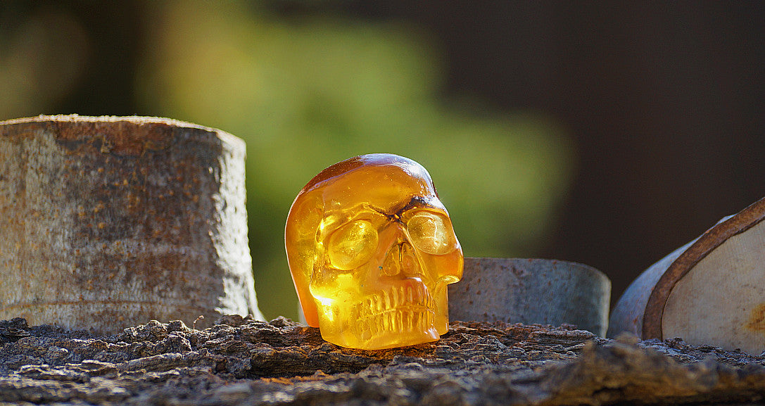 AMBER SKULL W BEES