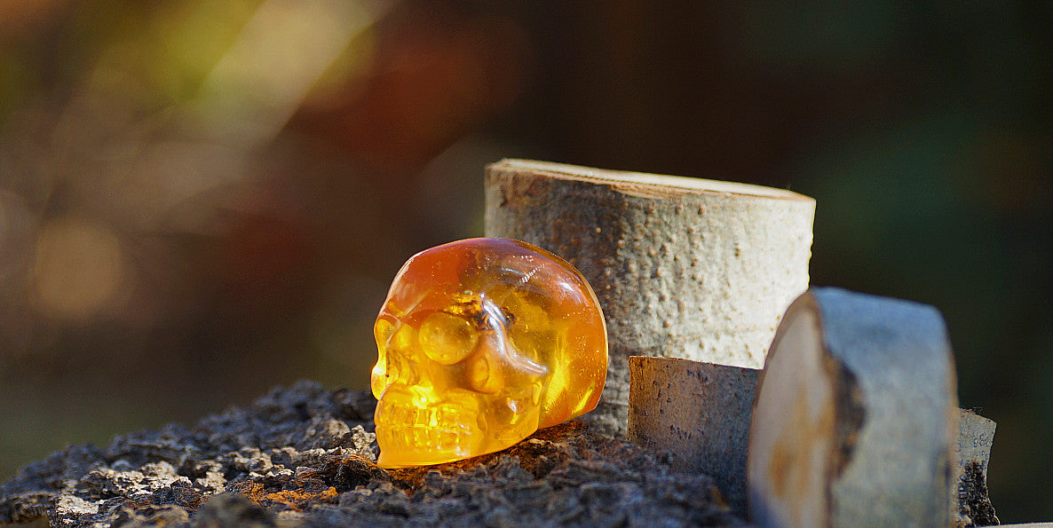 AMBER SKULL W BEES
