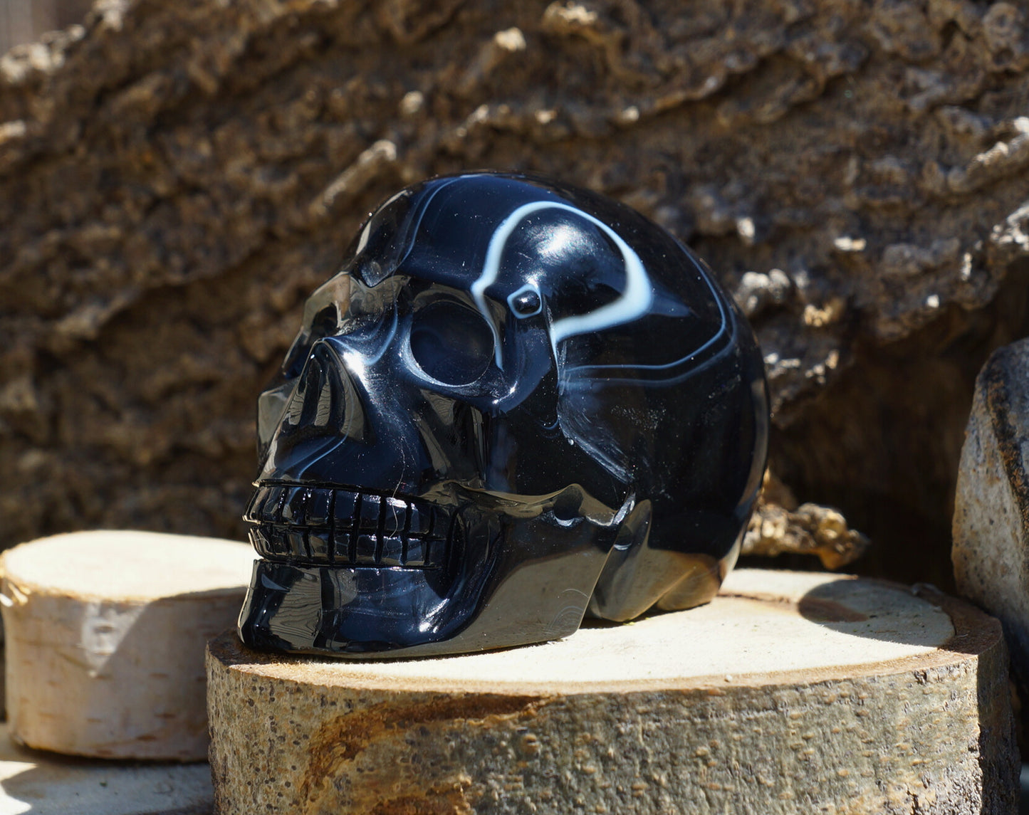 BLACK LACE AGATE SKULL