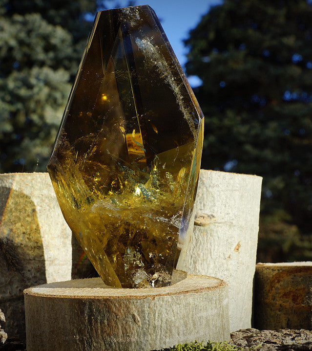 CHAMPAGNE CITRINE (FREEFORM)