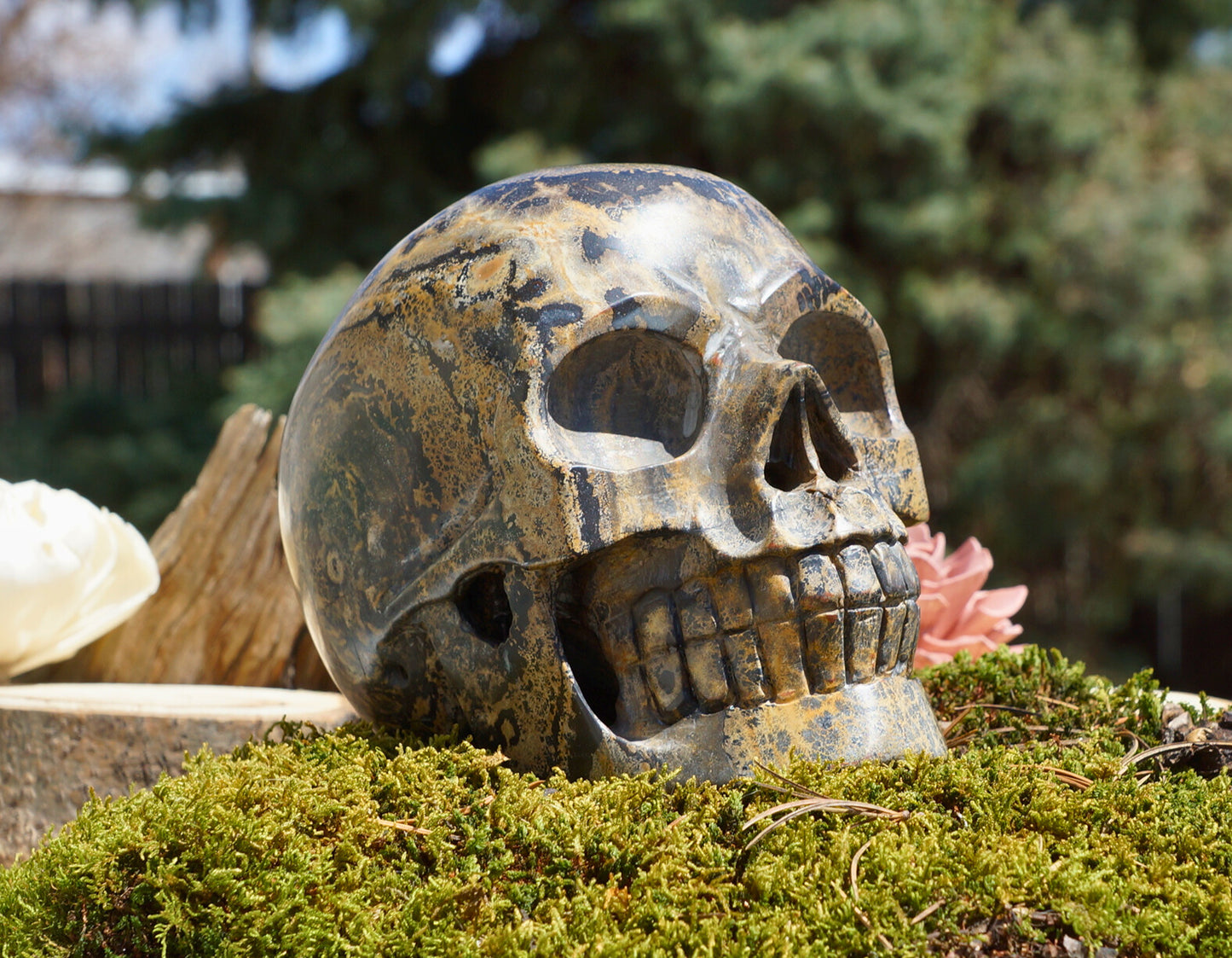 DENDRITIC PICTURE JASPER SKULL