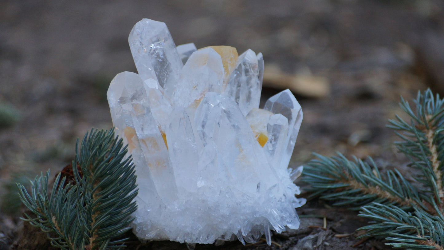 Tibetan Phantom Quartz