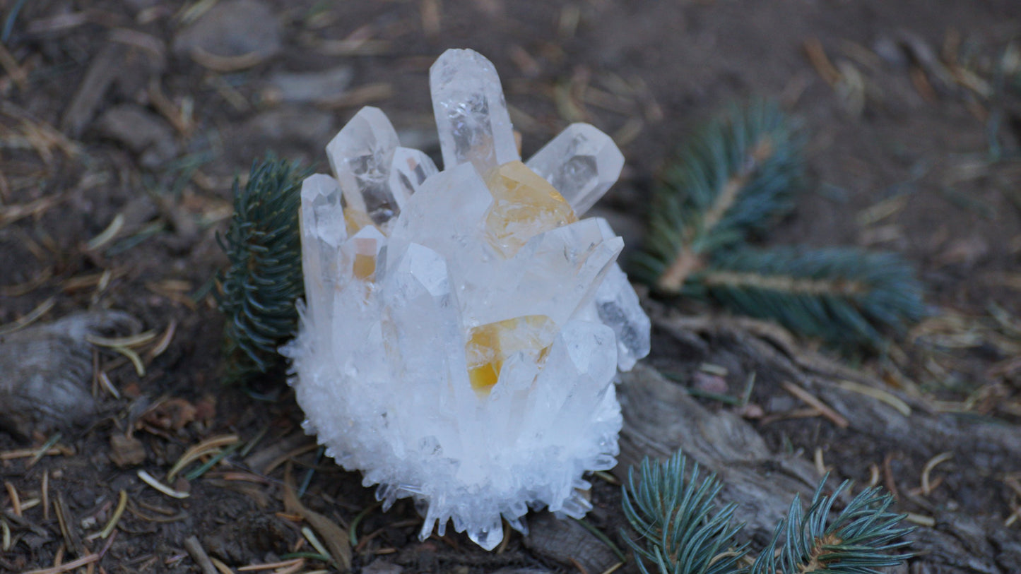Tibetan Phantom Quartz