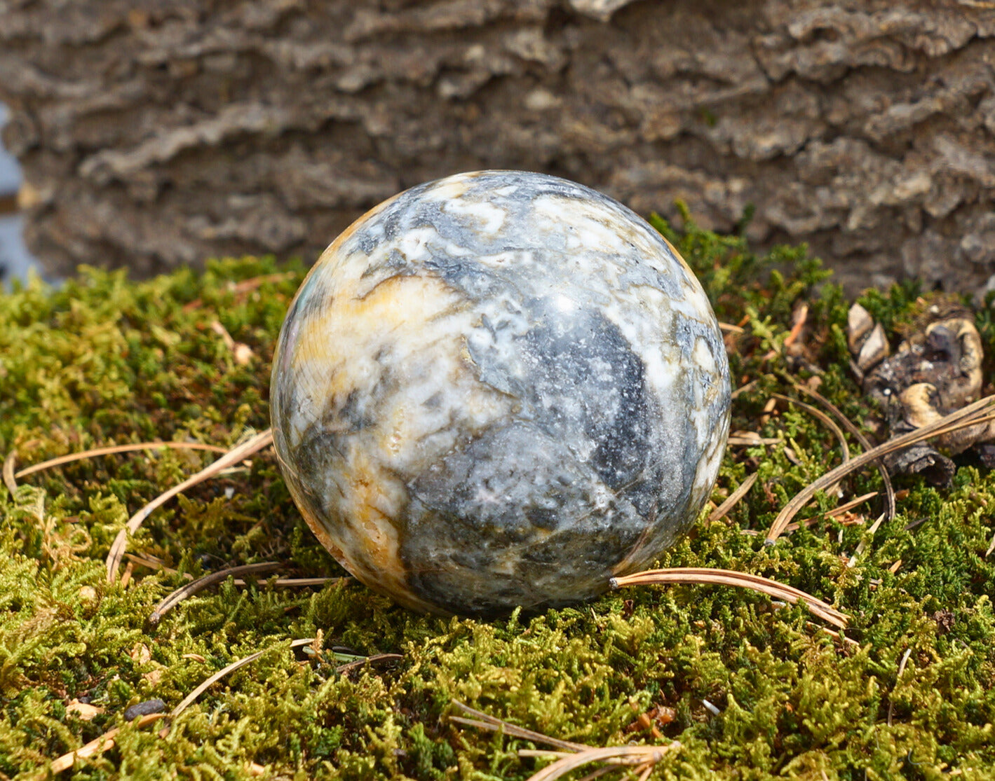 BUMBLEBEE JASPER SPHERE (druzy)