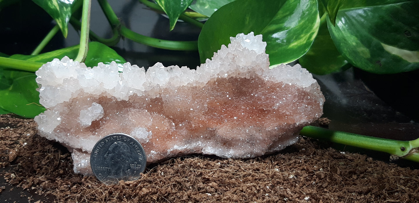 White and Red Aragonite (Cave Calcite)