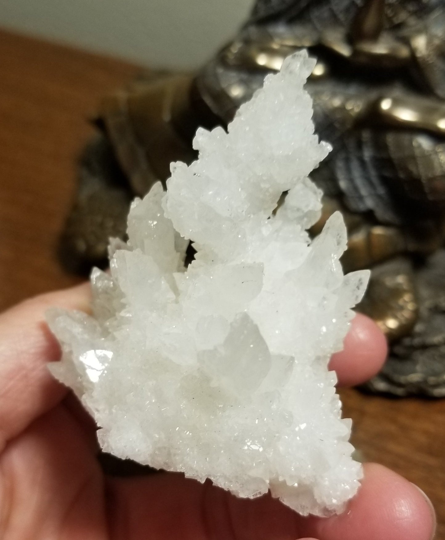 close-up of white aragonite 