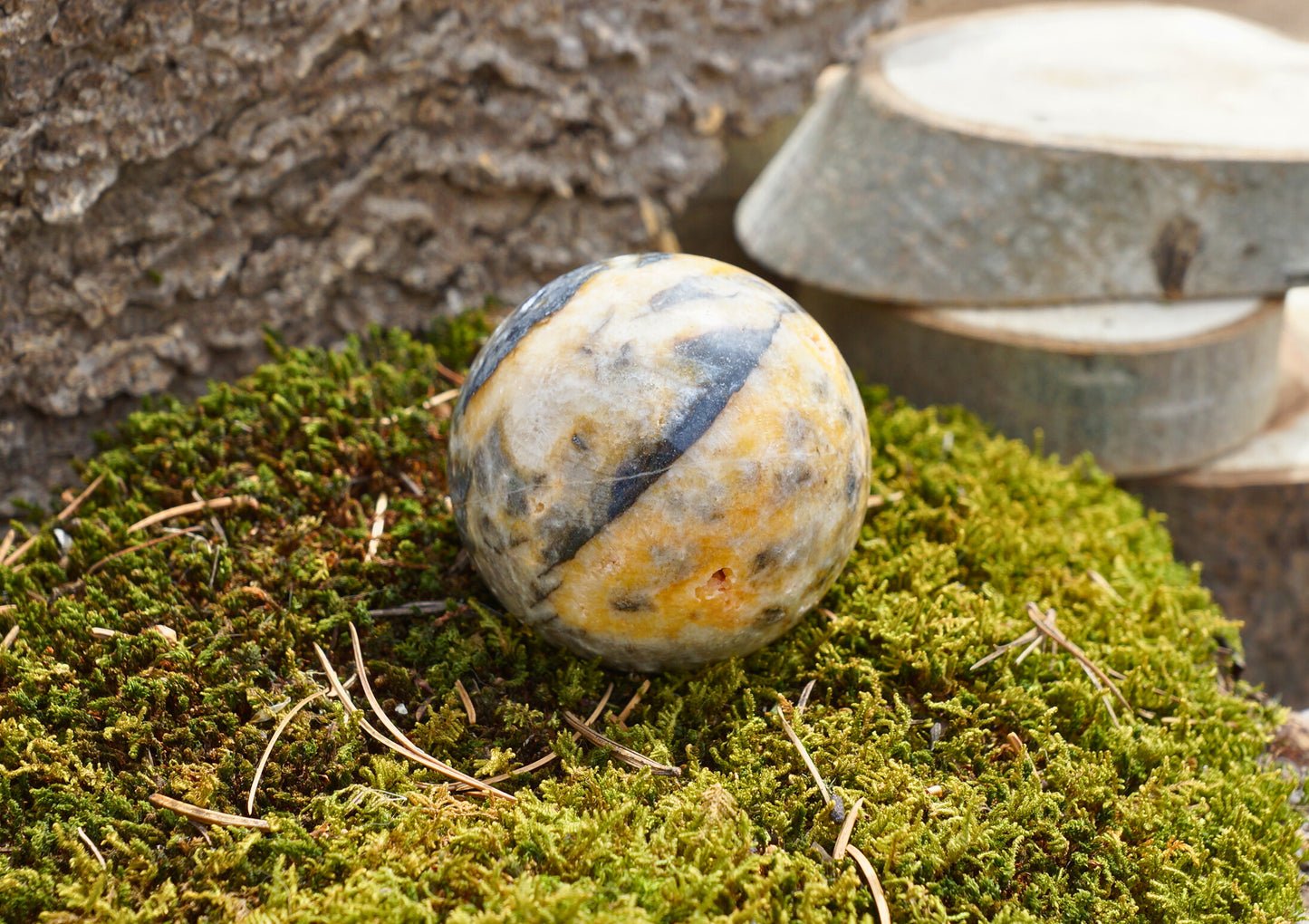 BUMBLEBEE JASPER SPHERE (druzy)