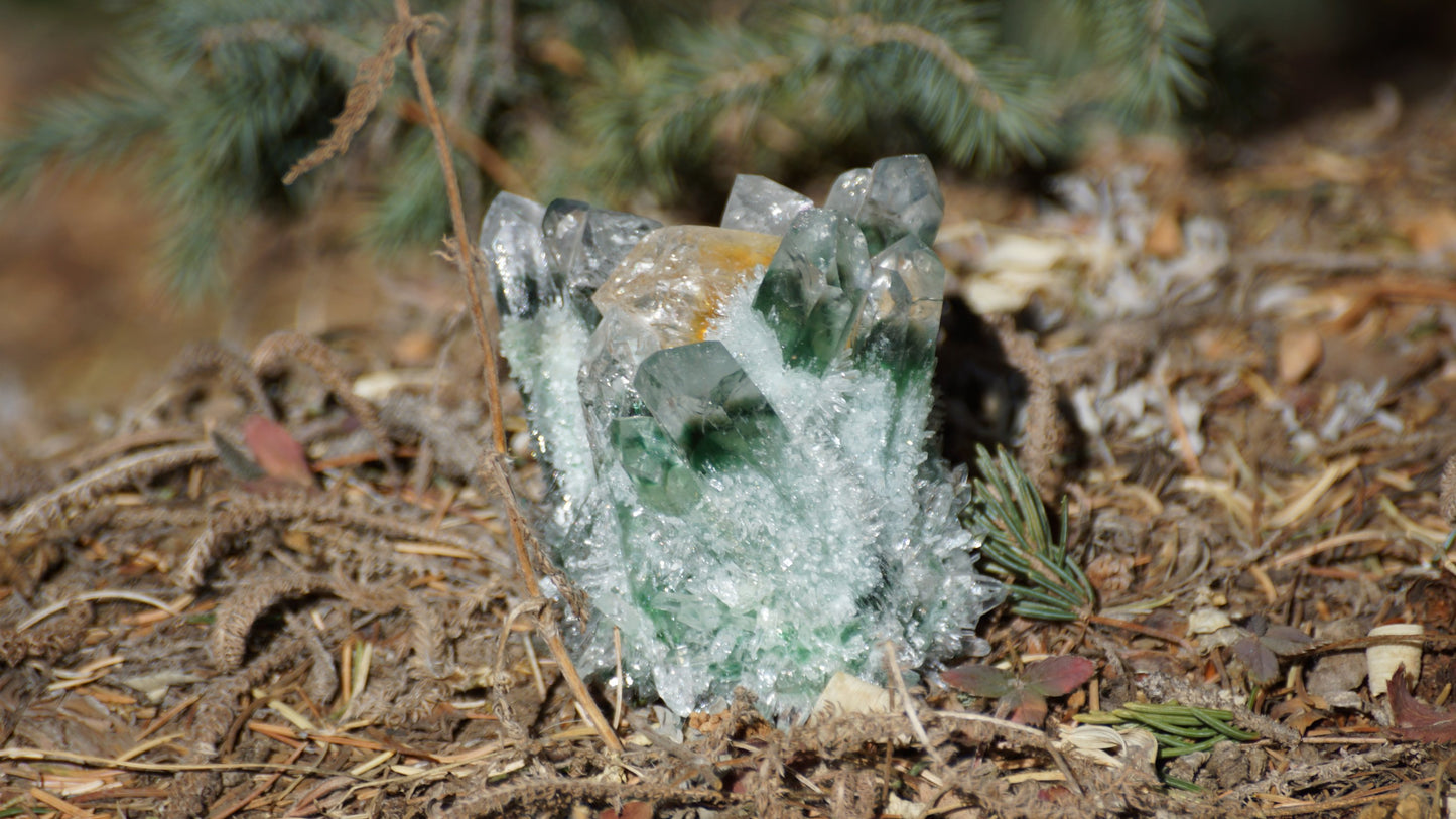 GREEN TIBETAN PHANTOM QUARTZ