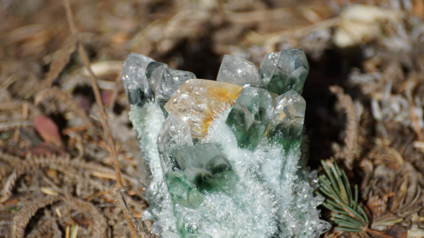 GREEN TIBETAN PHANTOM QUARTZ