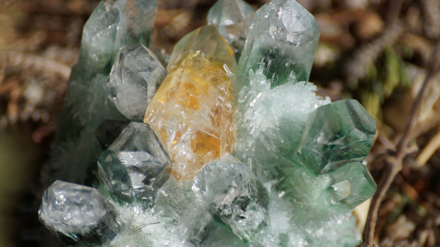 GREEN TIBETAN PHANTOM QUARTZ