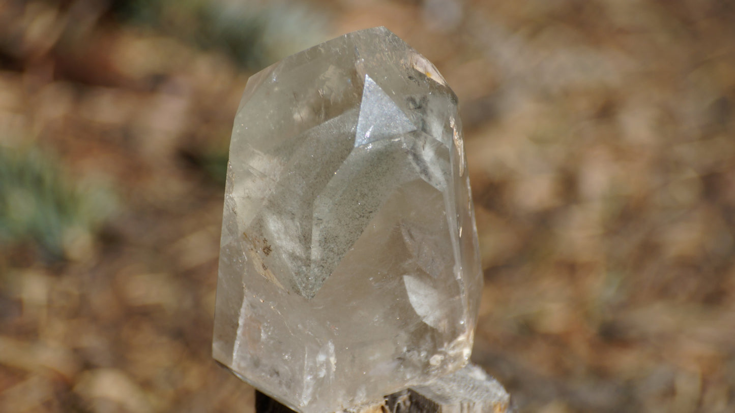 Phantom Quartz Natural Termination