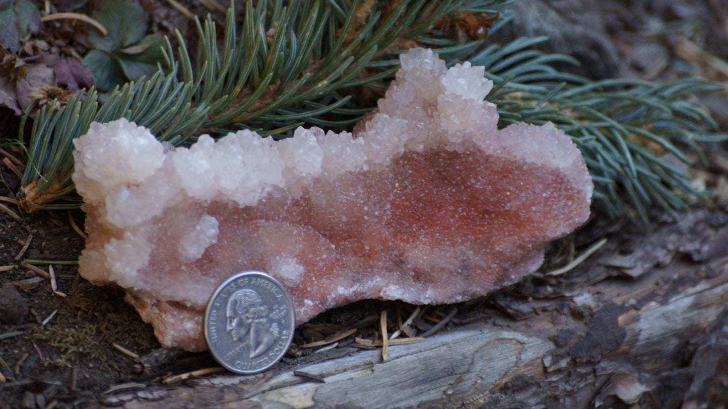 White and Red Aragonite (Cave Calcite)