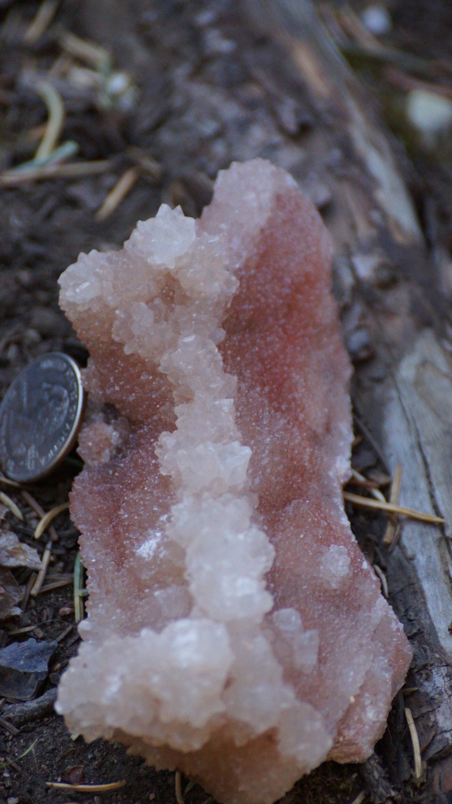 White and Red Aragonite (Cave Calcite)