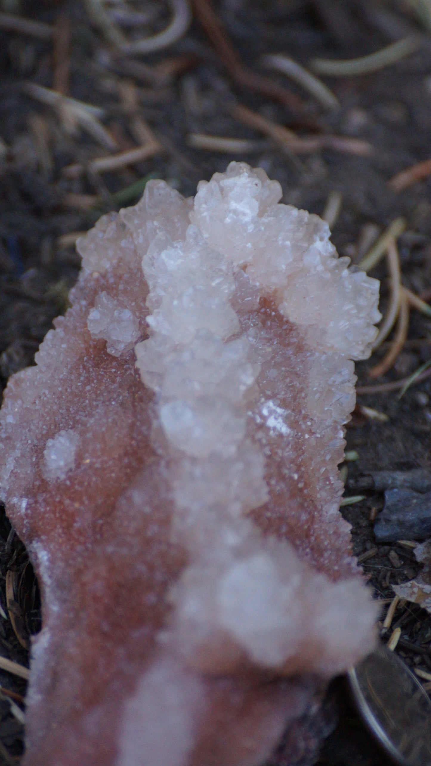 White and Red Aragonite (Cave Calcite)