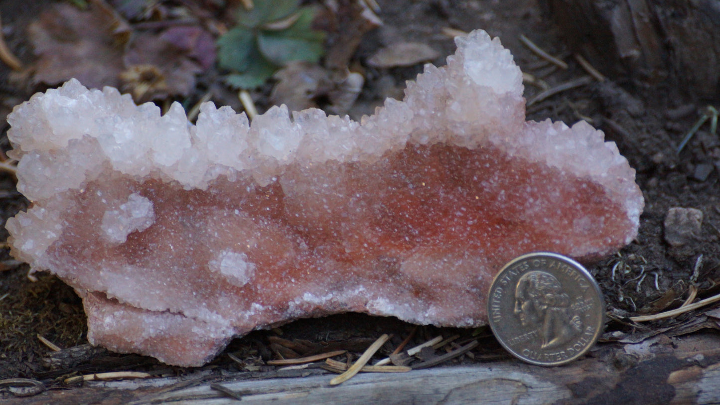 White and Red Aragonite (Cave Calcite)